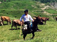 Nusret’in Erzurum’da açılış öncesi eşeğe binme görüntüleri büyük ilgi gördü