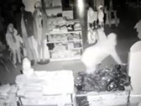 Kar maskeli çelik kasa hırsızları jandarmaya yakalandı
