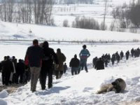Erzurum’da cinayetle biten çocuk kavgasının sebebi ‘köpek’ meselesi çıktı