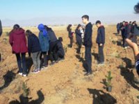Fen Lisesi öğrencileri ağaç dikti