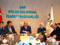 DAP bölgesi kalkınma ajanslarıyla işbirliği toplantısı
