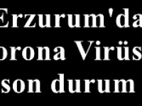 Erzurum'da Korona Virüste son durum