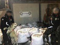 Dev uyuşturucu operasyonun davasında sanıklar birbirine girdi