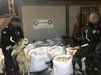 Dev uyuşturucu operasyonu davasında sanıklara 730 yıl hapis cezası