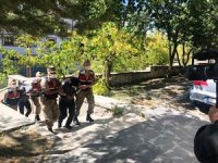Hayvan hırsızlığı çetesi 111 kameranın kaydı incelenmesi sonucunda çökertildi