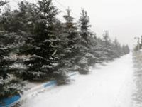 Erzurum kar’a teslim
