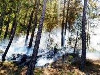 Erzurum’da piknik alanlarında ateş, mangal, semaver yakılması ve ormanlık alanlara girilmesi yasaklandı