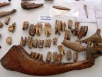 Erzurum’un tarihine ışık tutan 6 bin yıllık höyükte kalıntılara rastlandı