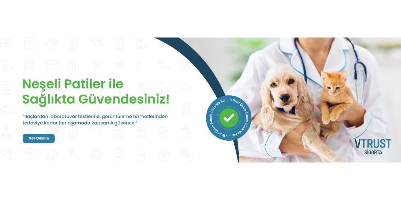 Kedi Sigortası Teminat Kapsamı Ve Kedilere Özgü Sağlık Riskleri