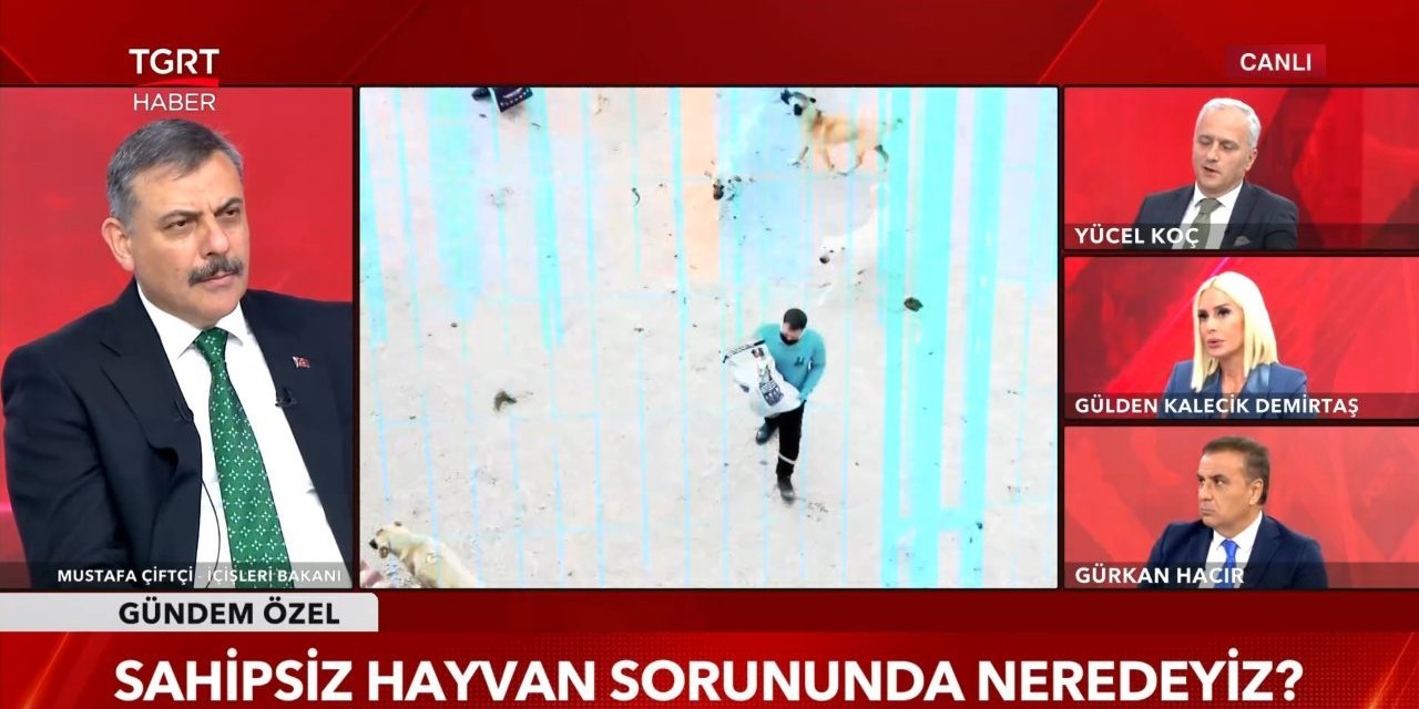Bakan Çiftçi tarih verdi: Başıboş köpeklerin toplanmasında hedef ekim sonu