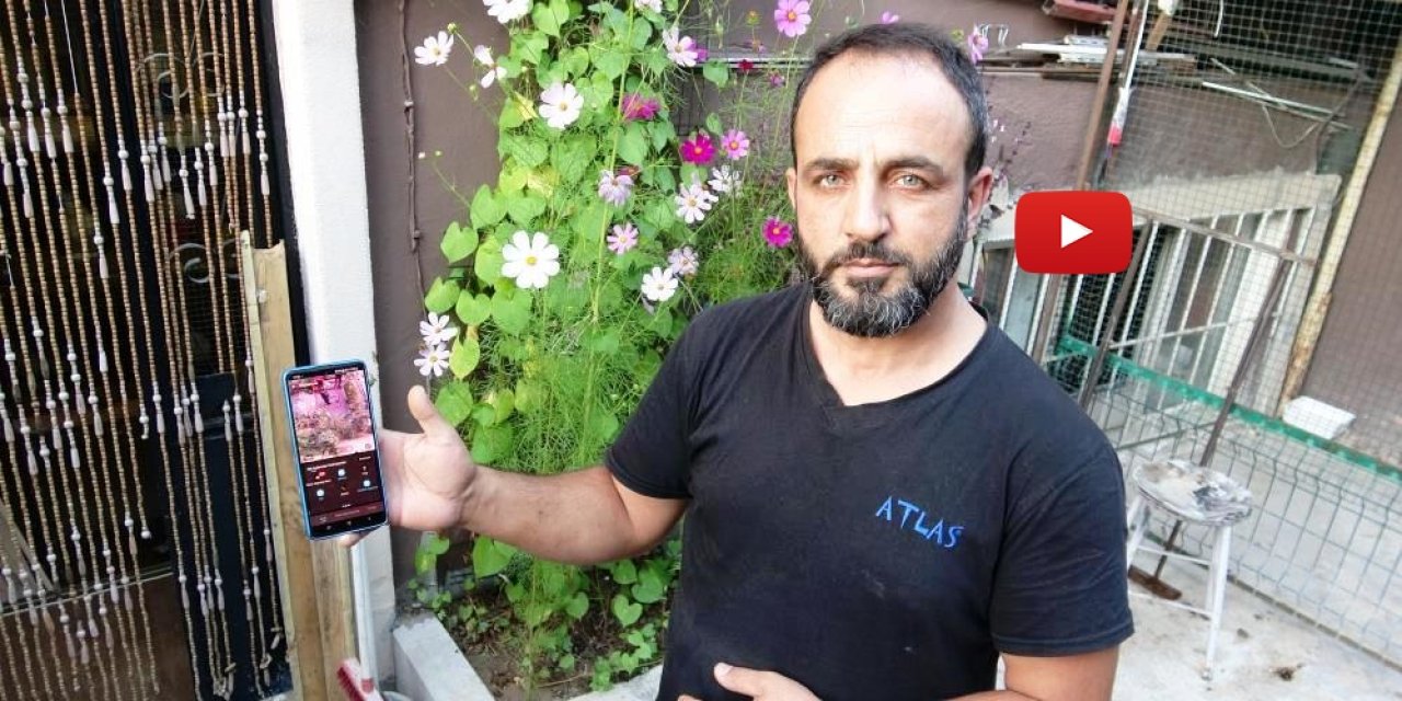 800 bin TL’lik güvercinlerine özel koruma: 24 saat kamera, çelik kapı ve Belçika kurdu