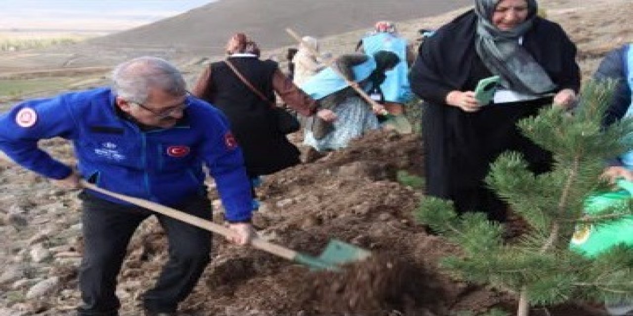 Pasinler’de DİTİB Hatıra Ormanı fidanlarla hayat buldu