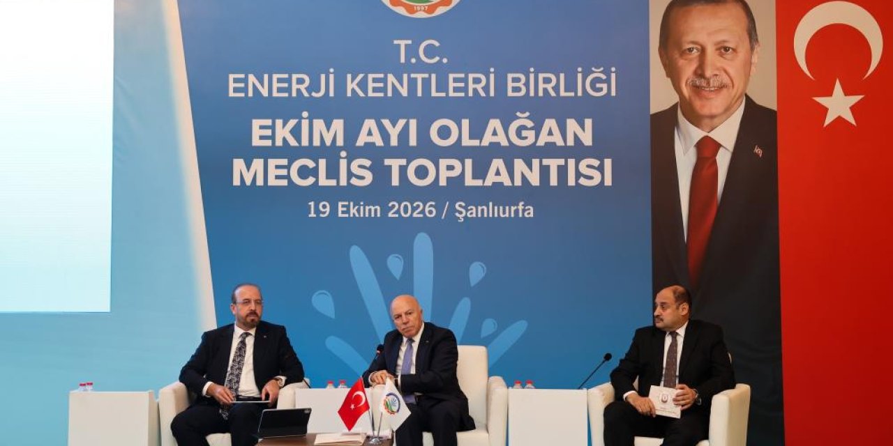 Başkan Sekmen: Yenilenebilir enerji çağımızın en önemli stratejisi