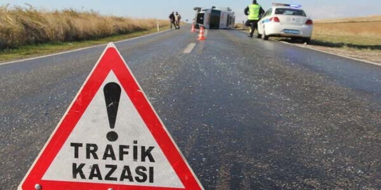 Tekman'da otomobil hayvan sürüsüne çarptı: 1 yaralı, 3 hayvan telef oldu