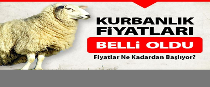 Kurbanlık Fiyatları Belli Oldu