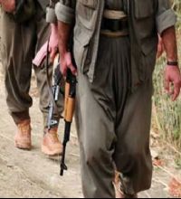 PKK'ya ağır darbe!