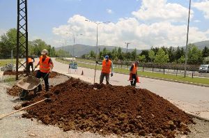 Büyükşehir Belediyesi Ana Arterlere Hazır Çim Seriyor