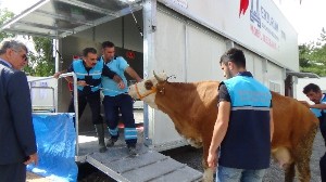 Erzurum Büyükşehir Belediyesi'nden mobil mezbaha