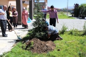 Erzurum'da Yaşlı ve Engellilerin de Artık Bir Ağacı Var