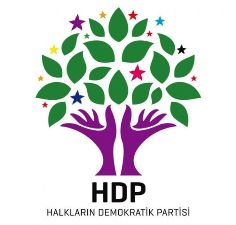 İşte HDP'nin Erzurum Adayları