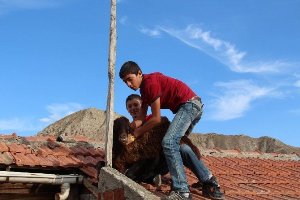 Erzurum'da Kurbanlık Koyun Evin Çatısına Çıktı