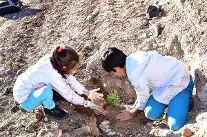 Teke Deresi Göleti sosyal tesis olarak Erzurum turizmine kazandırılıyor