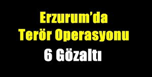 Erzurum’da Terör Operasyonu: 6 Gözaltı
