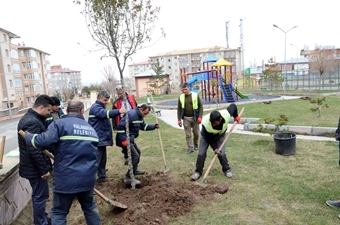 PALANDÖKEN DE BİNLERCE FİDAN TOPRAKLA BULUŞUYOR