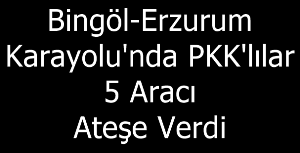 Bingöl-Erzurum Karayolun'da PKK'lılar 5 Aracı Ateşe Verdi