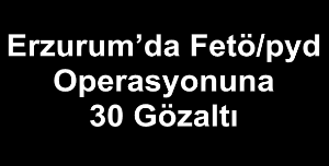 Erzurum’da Fetö/pyd Operasyonuna 30 Gözaltı