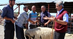 Erzurum Hayvan Pazarında Hareketlilik Başladı