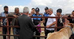 Erzurum'da Hayvan Pazarında Sahte Para Uyarısı