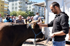 ERZURUMLULARDAN MOBİL MEZBAHALARA TAM NOT