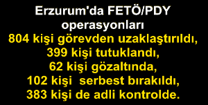 Erzurum il genelinde FETÖ/PDY operasyonları