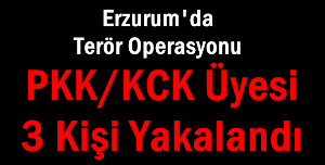 Erzurum’da Pkk/kck Üyesi 3 Kişi Yakalandı