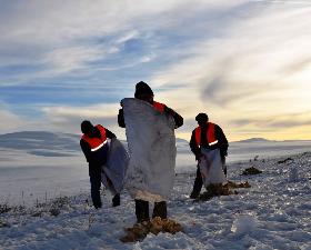 Çat'ta yaban hayata destek seferberliği başlatıldı