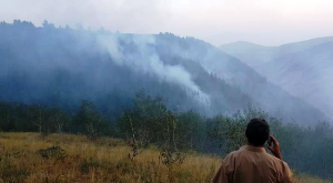 Erzurum’da 40 hektar ormanlık alan yandı