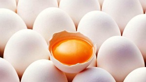 Türkiye için korkutan açıklama: Zehirli yumurtalar Türkiye'de