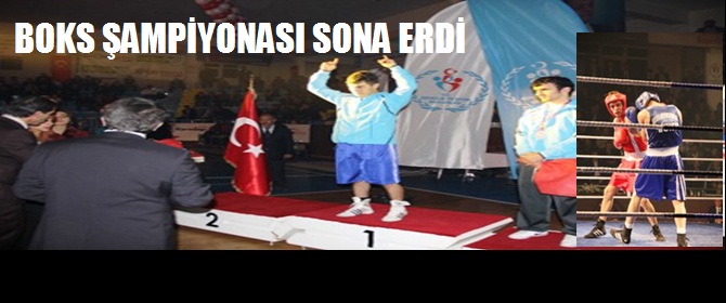 Boksta 9 altın madalya!