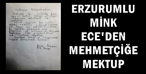 Erzurumlu Ece'den Mehmetçiğe mektup