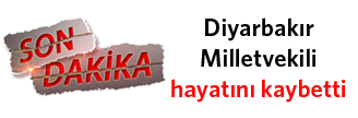 Milletvekili Elçi hayatını kaybetti