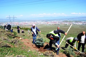 Palandöken Belediyesi fidan dikim seferberliği başlattı