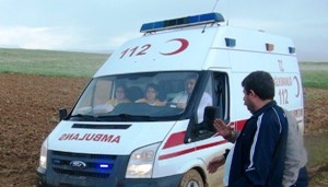 Erzurum’da yıldırımın isabet ettiği 4 çoban yaralandı