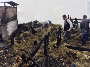 Erzurum'da korkutan yangın