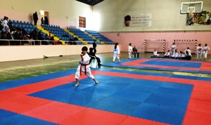 Karateciler okulları için tatamiye çıktı