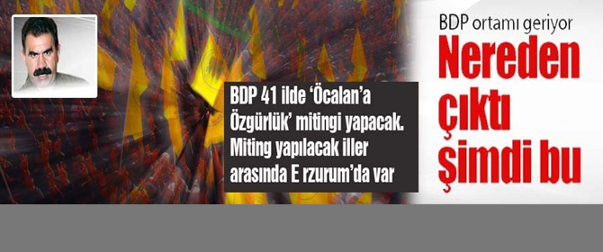 BDP'nin Öcalana 'özgürlük' hayali...