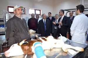 Başkan Demir, Hayvan Hastanesi’ni ziyaret etti