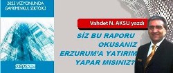 Gazeteci Aksu'dan önemli bir yazı...