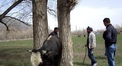 Erzurum'da Günün İlginç Haberi...