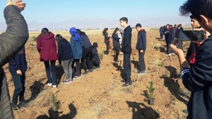 Fen Lisesi öğrencileri ağaç dikti